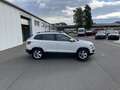 Skoda Karoq 2.0 TDI DSG 4x4 Ambition 144€ m. 20% Anzahlung S Weiß - thumbnail 5