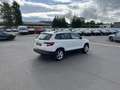 Skoda Karoq 2.0 TDI DSG 4x4 Ambition 150€ m. 20% Anzahlung S Weiß - thumbnail 6