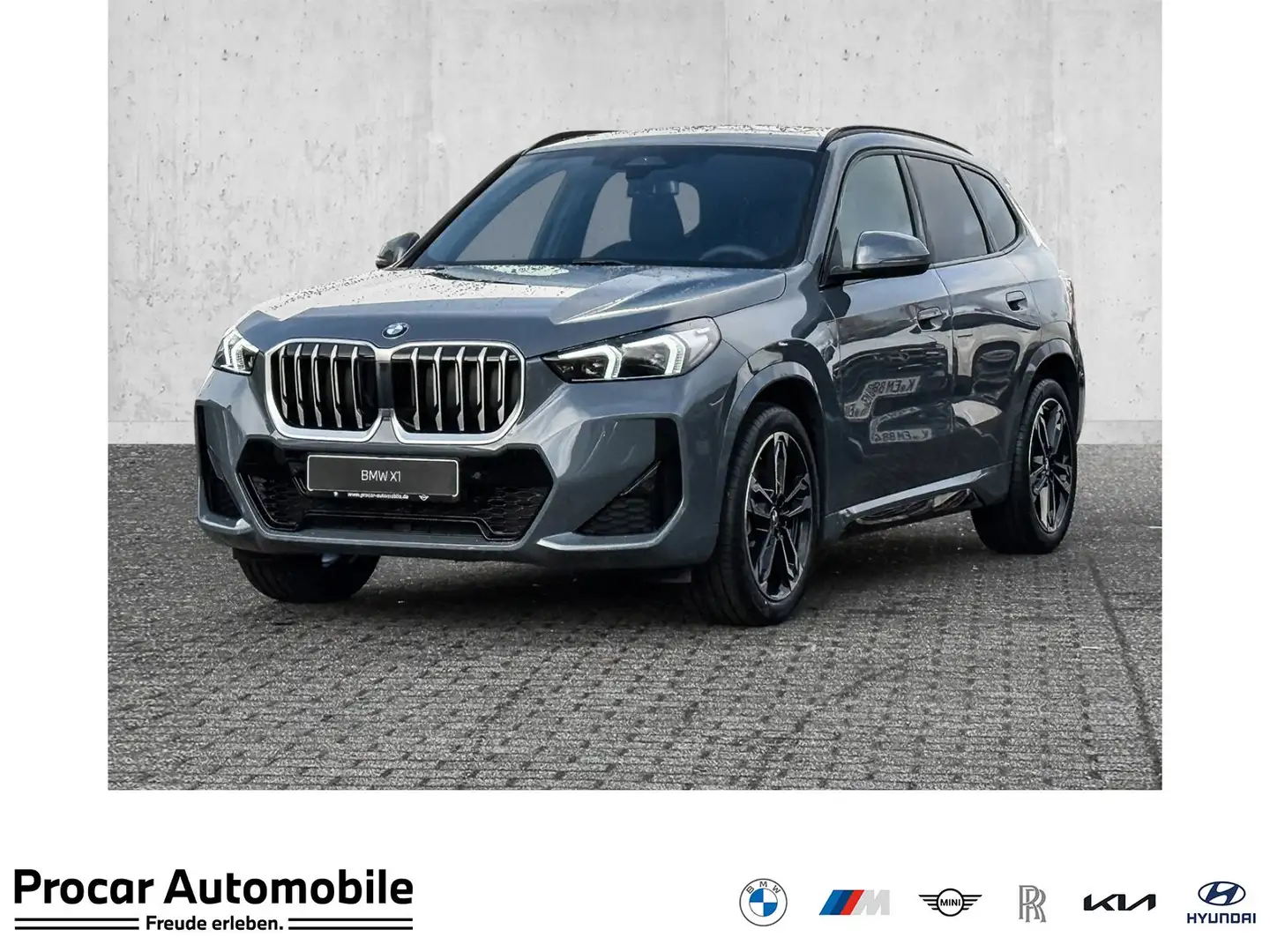 BMW X1 sDrive20i M Sportpaket * Panorama Glasdach * Lenkr Gris - 1