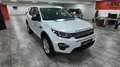 Land Rover Discovery Todoterreno Manual de 5 Puertas Blanco - thumbnail 31