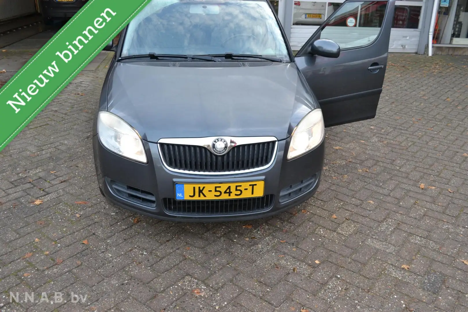 Skoda Roomster 1.4-16V Grijs - 2