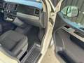 Volkswagen T6 Multivan DSG Behindertenumbau Rollstuhlrampe Blanc - thumbnail 18