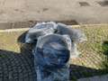 Fiat Tipo SW 1.0 100cv CROSS FULL-UNIPRO'-SERVICE Grau - thumbnail 17