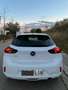 Opel Corsa Corsa 1.2T XHL S/S Elegance 100 Elegance Blanco - thumbnail 6