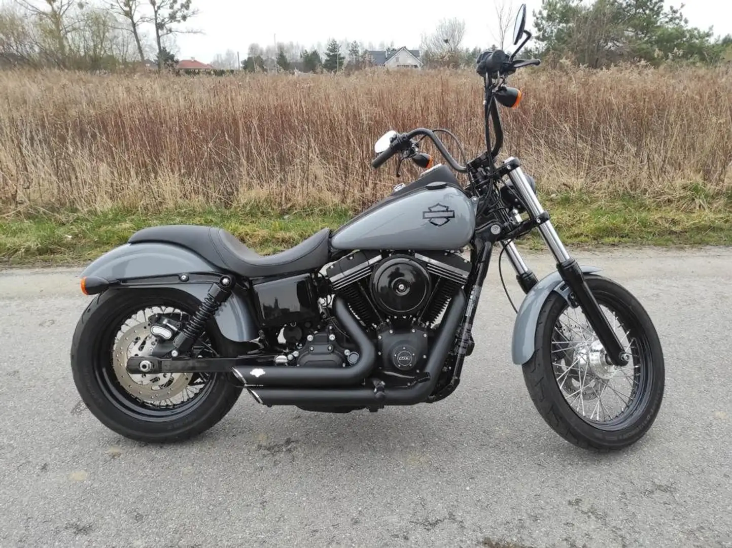Harley-Davidson Dyna Street Bob FXDB n°103 ,1584cm³ ,6800 miles Gri - 1