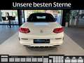 Mercedes-Benz C 250 C 250 Cabrio AMG-Line*FAP*AHK*Comand*360°-Cam* Weiß - thumbnail 11