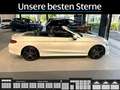 Mercedes-Benz C 250 C 250 Cabrio AMG-Line*FAP*AHK*Comand*360°-Cam* Weiß - thumbnail 5