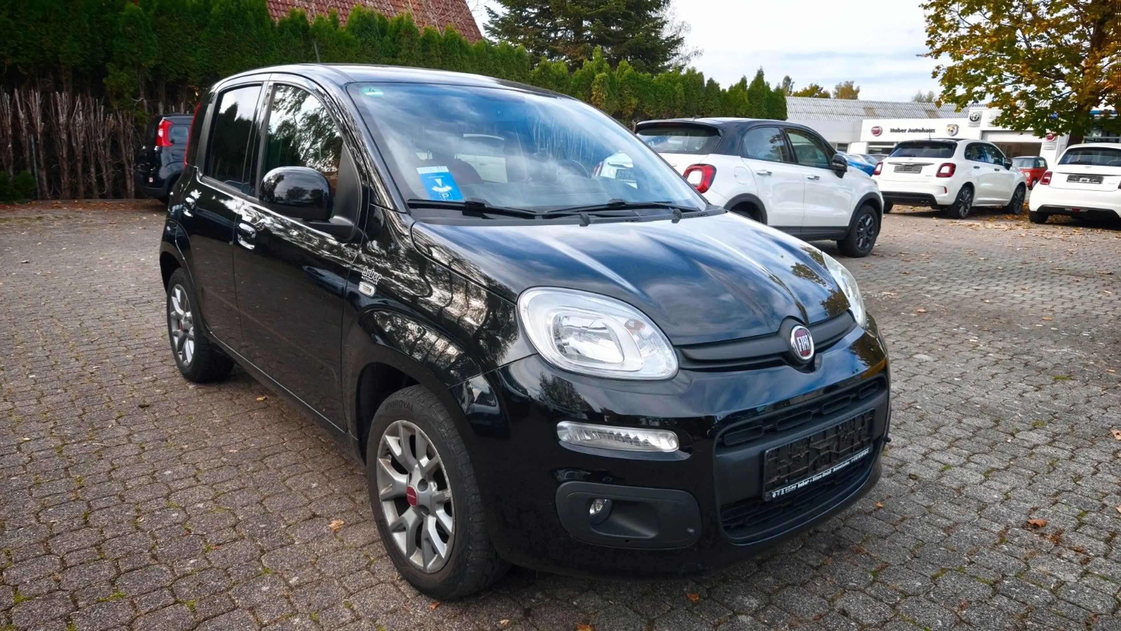 Fiat Panda Lounge 1,2 — photo 4