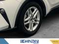 Toyota C-HR C-HR 1.8 Hybrid E-CVT Business Blanco - thumbnail 15