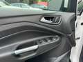 Ford C-Max 2.0 Plug In Hybrid Titanium+,Pano,Leer,Keyless,Nav bijela - thumbnail 12