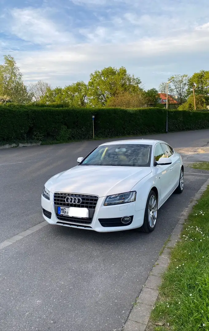 Audi A5 2.0 TDI (125kW) Sportback (8T) Weiß - 1