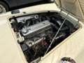 Austin Healey 100 / 4  2,6L 110PS Overdrive "Red Baron" Blanc - thumbnail 10