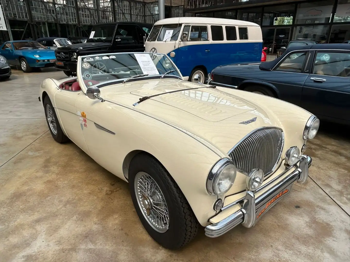 Austin Healey 100 / 4  2,6L 110PS Overdrive "Red Baron" Blanc - 1