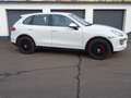 Porsche Cayenne aus 2.Hand  Memory BOSE Panorama Blanc - thumbnail 4