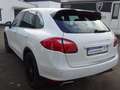 Porsche Cayenne aus 2.Hand  Memory BOSE Panorama Blanc - thumbnail 10