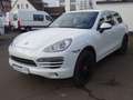 Porsche Cayenne aus 2.Hand  Memory BOSE Panorama Blanc - thumbnail 12