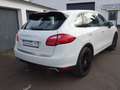 Porsche Cayenne aus 2.Hand  Memory BOSE Panorama Blanc - thumbnail 7