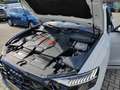 Audi SQ8 4.0+TFSi+MATRIX+PANO+STANDH+AHK+ Weiß - thumbnail 19