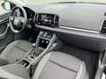 Skoda Karoq 2.0 TDI Tour 148€ m.20% Anz. PANO 4xSHZ LR-Hzg K Schwarz - thumbnail 12