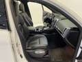 Porsche Cayenne 3.0 Diesel Aut. PELLE * TETTO APRIBILE * Blanc - thumbnail 33