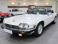 Jaguar XJS Cabrio V-12, 5,3 ltr Blanco - thumbnail 1