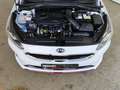 Kia ProCeed / pro_cee'd 1.6 T-GDI DCT GT Komfort JBL|4xSHZ|Navi Weiß - thumbnail 26