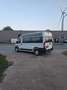 Fiat Ducato Maxi Shuttle L4H2 S&S - thumbnail 6