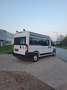 Fiat Ducato Maxi Shuttle L4H2 S&S - thumbnail 2