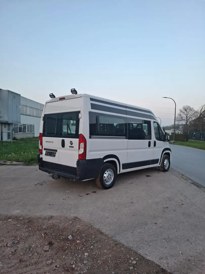Fiat Ducato Maxi Shuttle L4H2 S&S - 2