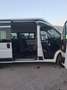 Fiat Ducato Maxi Shuttle L4H2 S&S - thumbnail 10