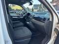 Volkswagen T6 Multivan - thumbnail 27