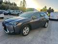 Lexus UX 200 UX 2019 250h 2.0 Business 2wd cvt my20 Grau - thumbnail 9