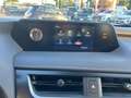 Lexus UX 200 UX 2019 250h 2.0 Business 2wd cvt my20 Grau - thumbnail 18