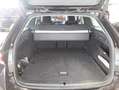 Skoda Octavia Combi Selection 1.5 TSI mHEV 7-DSG *PANO*AHK*KAMER Schwarz - thumbnail 4