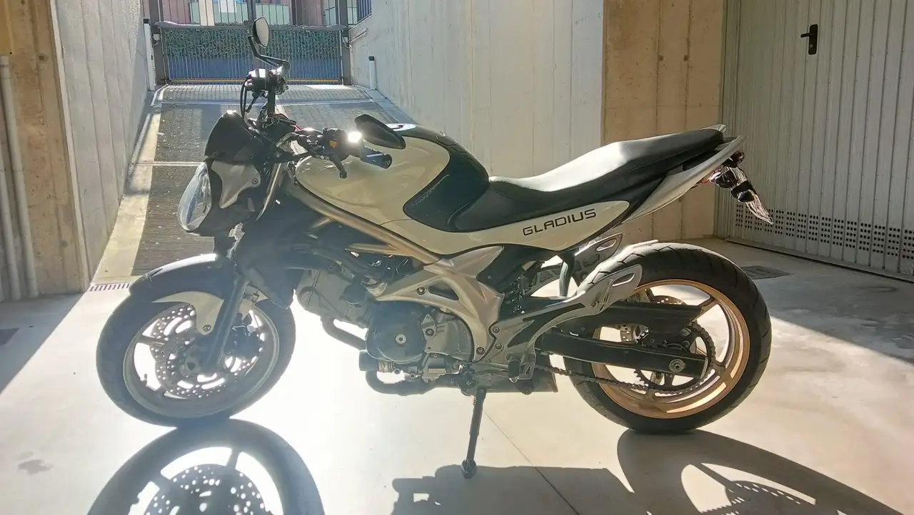 Suzuki Gladius 650