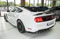 Ford Mustang GT 5,0 COYOTE GT 500 PREMIUM VOLL Wit - thumbnail 4