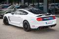 Ford Mustang GT 5,0 COYOTE GT 500 PREMIUM VOLL Wit - thumbnail 14