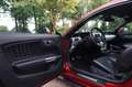 Ford Mustang Fastback 2.3 EcoBoost | Origineel Nederlands | 317 Rood - thumbnail 15