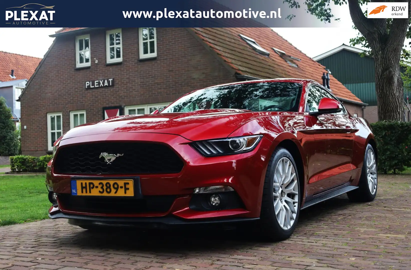 Ford Mustang Fastback 2.3 EcoBoost | Origineel Nederlands | 317 Rood - 1