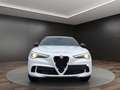 Alfa Romeo Stelvio Quadrifoglio MY20 Quadrifoglio 2 Blanc - thumbnail 5