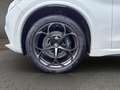 Alfa Romeo Stelvio Quadrifoglio MY20 Quadrifoglio 2 Blanc - thumbnail 9