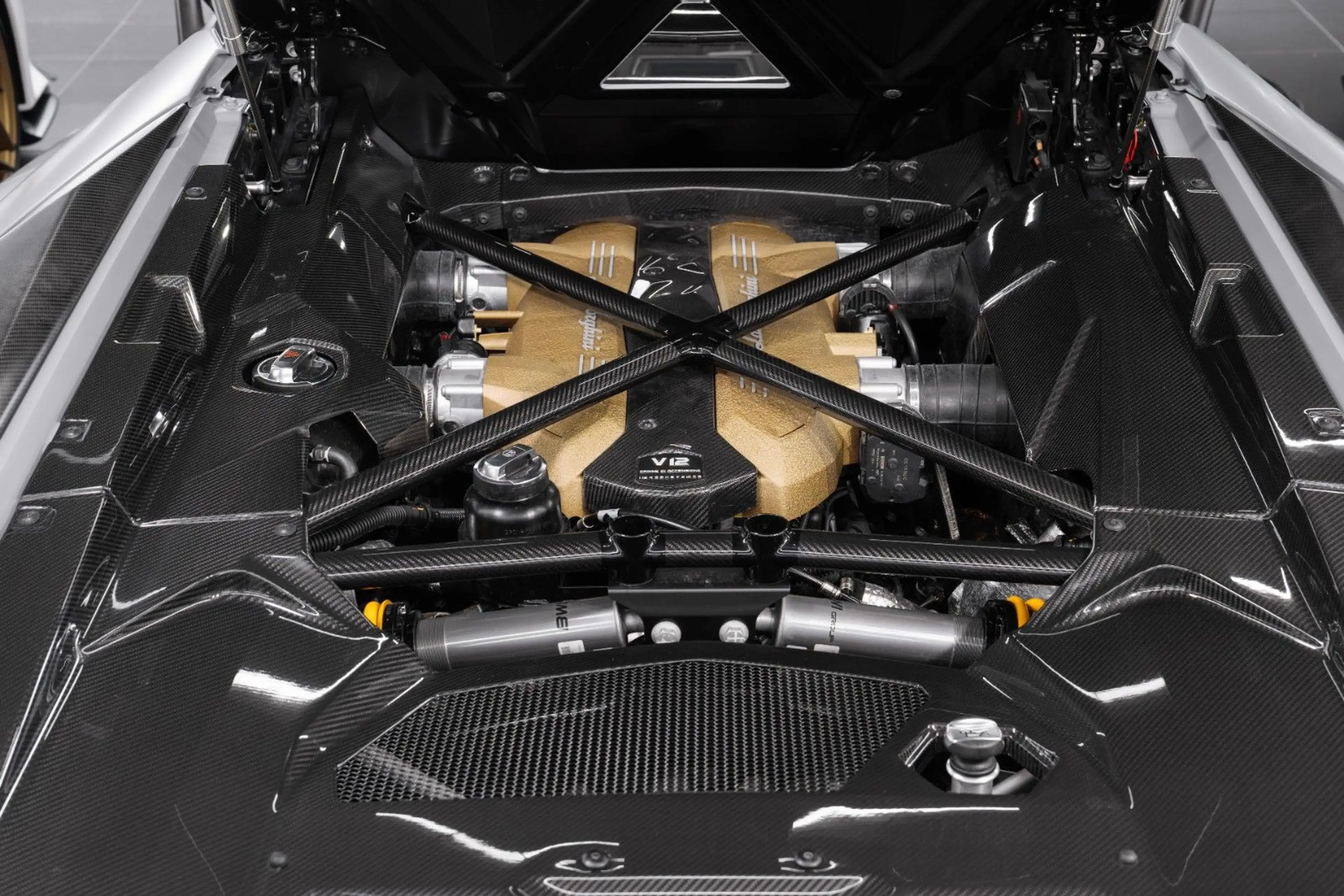 Lamborghini Aventador Ultimae Roadster CARBON/WARRANTY/PPF — photo 14