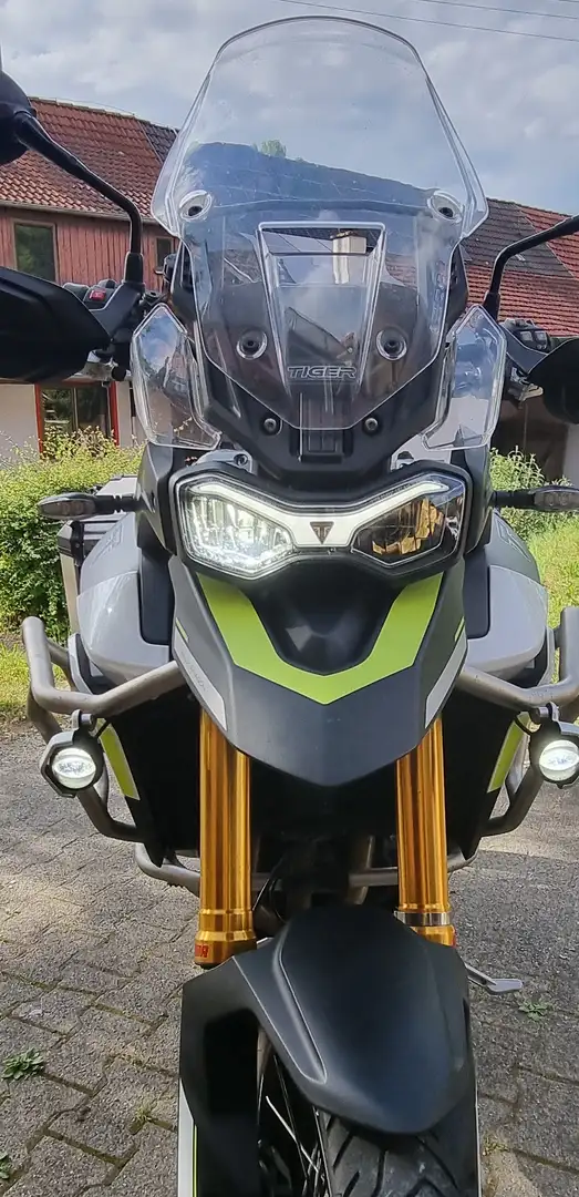 Triumph Tiger 900 Білий - 1