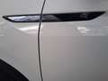 Volkswagen Tiguan Tiguan 2.0 TDI 150 CV DSG R-Line Bianco - thumbnail 22