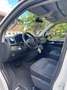 Volkswagen T6 California California Beach Edition 4Motion Weiß - thumbnail 5