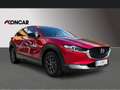 Mazda CX-30 e-Skyactive G140 Homura Aut. Rot - thumbnail 4