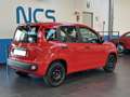 Fiat Panda 1.2 Easy 69CV NEOPATENTATI Rosso - thumbnail 4