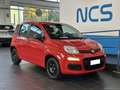 Fiat Panda 1.2 Easy 69CV NEOPATENTATI Rosso - thumbnail 3