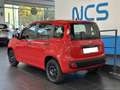Fiat Panda 1.2 Easy 69CV NEOPATENTATI Rosso - thumbnail 2