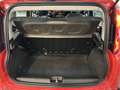 Fiat Panda 1.2 Easy 69CV NEOPATENTATI Rosso - thumbnail 9